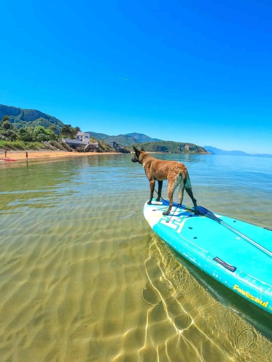 Hotel Plage D'Or Жижел Екстериор снимка